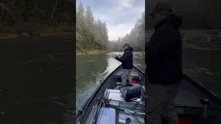 Catching salmon on the Sol Duc River with Mason Jackson hohrainforest solducriver cohosalmon [upl. by Nauhs]