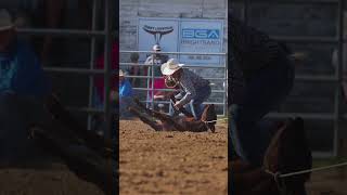 Epic Tie Down Roping rodeo horse cowboy [upl. by Arie]