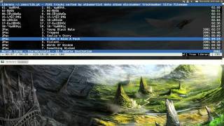 Cmus  Ncurses Music Player  Ubuntu 1010 [upl. by Gnahc]