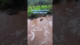 Hochwasser November 2024 zinnisabenteuer kreiskusel glantal nature hochwasser fluss fishing [upl. by Riane871]