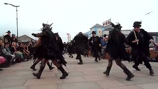 Beltane Border Morris  Cross Tree  Teignmouth Folk Festival  23 Jun 24 [upl. by Cher116]