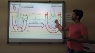 Doença das Membranas Hialinas Etiologia patologia fatores de risco diagnóstico e tratamento [upl. by Jeniece]