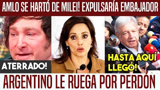 MILEI ATERRADO AMLO EXPULSARÍA A EMBAJADORA ARGENTINO LE RUEGA POR PERDÓN [upl. by Ted420]