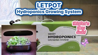 LETPOT LPHSE Hydroponic System Mothers Day Sale Unboxing and Set Up  Indoor Gardening [upl. by Skillern]