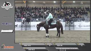 Futurity 2023  MANUEL CORTESI amp FROZEN SVEN score 224 [upl. by Anaela422]