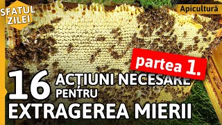 16 actiuni necesare pentru EXTRAGEREA MIERII  Partea 1 Sfatul zilei [upl. by Ruperto]