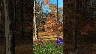 Mornings in Hocking Hills Ohiooutdoors fall camping breakfast family beagle country [upl. by Farmann185]