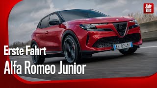 Alfa Romeo Junior Veloce  Erste Fahrt mit Rolf Klein [upl. by Maurreen]