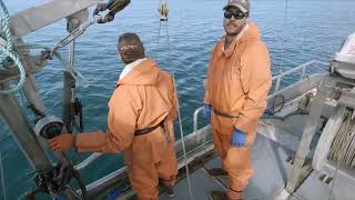 Halibut Longlining at the Geeses  Kodiak Alaska 2023 Fishing Season [upl. by Garfield597]