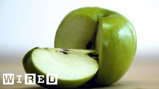 Food Myths Are Apple Cores Poisonous [upl. by Michaud]