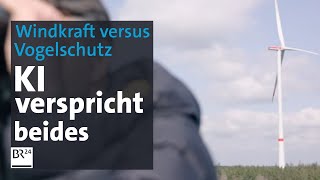 Windkraft undoder Vogelschutz KI verspricht beides  Abendschau  BR24 [upl. by Amsaj]