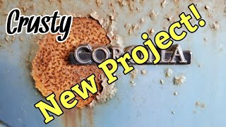 New Project project Crusty [upl. by Aneleh115]