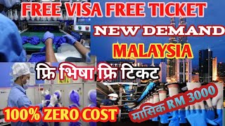 malaysia New Demand free visa Free ticket  free visa Free ticket New Demand in Malaysia 2024 [upl. by Rriocard]