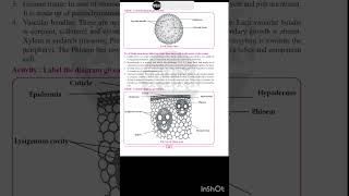 Class 11 Biology Practical 🦠 practical 5 biologypractical tim class11biologypractical [upl. by Kelson]