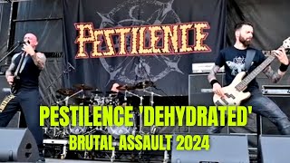 PESTILENCE  DEHYDRATED live at Brutal Assault Festival 2024 [upl. by Fafa]