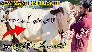 Mandi Lag Gye  Soda Hogya At Gadap Maweshi Mandi  Bakra Eid Season2024 [upl. by Thurmond]