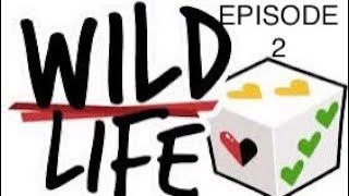 Wild life episode 2 is off to an interesting start [upl. by Hannahs]