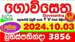 Govisetha 3856 20241003 Today Lottery Result අද ගොවිසෙත දිනුම් ප්‍රතිඵල nlb Lotherai dinum anka [upl. by Drol]