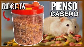 PIENSO CASERO para HAMSTER 🐹 COMIDA para HAMSTERS [upl. by Phira728]