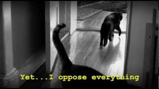 quotSkat The Existential Catquot A tribute to Henri le Chat Noir [upl. by Yeldnarb]