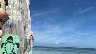 Bridge Street Pier to Longboat Key Walk [upl. by Crotty]