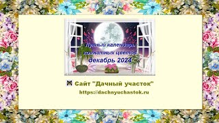 Лунный календарь комнатных растений и цветов на декабрь 2024 года [upl. by Nangem]