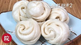 【彬彬有院】食• 温度对发面有什么影响（基础发面2） [upl. by Zebe]