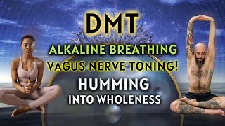 Vagus Nerve Humming DMT Alkaline Breathing  How To Tone The Vagus Nerve 3 Rounds Guided [upl. by Adnoral78]