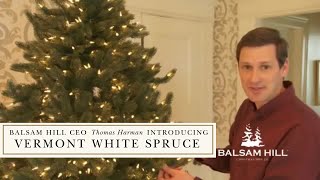 Balsam Hill CEO Thomas Harman introducing Vermont White Spruce [upl. by Angelika]