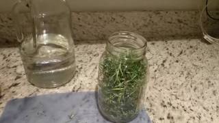 DIY Rosemary Oil for Hair  Rosemary Oil For Extreme Hair Growth [upl. by Noraj]