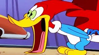 Woody Woodpecker Show  Carney Con  Full Episode  Videos For Kids [upl. by Rexanna479]