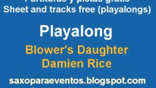 Playalong Blowers Daughter by Damien Rice [upl. by Acinahs669]