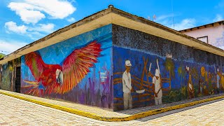 CANTARRANAS EL PUEBLO SELFIE DE HONDURAS [upl. by Darnok680]