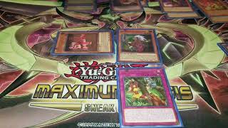 Robs 5th place Amazoness Deck Dec 2017 Death by Snu Snu [upl. by Chrissa757]