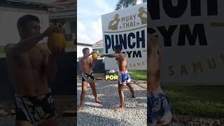 Muay Thai is KING of striking honeybadgerhour muaythai [upl. by Naesad]