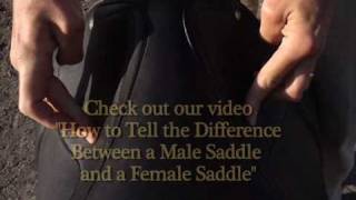 Schleese Saddlery Discusses Rider Pain [upl. by Tnattirb440]