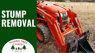 How Do Christmas Tree Farms Remove Stumps 242 [upl. by Theressa]