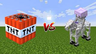 TNT vs Skeleton Horse  Minecraft [upl. by Eiznil]