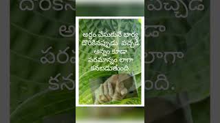 Katuka kannula foke song motivation telugu love song  youtube shorts [upl. by Adierf]