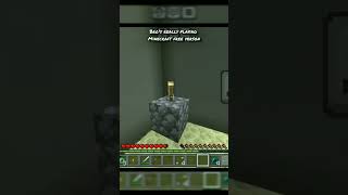 when you download minecraft free edition minecraft [upl. by Elie]