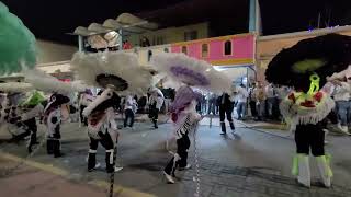 Carnaval Papalotla 2024 Barrio Potrero La Culebra [upl. by Aehtorod]