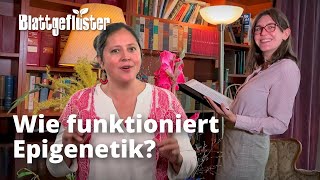 Wie funktioniert Epigenetik in Pflanzen [upl. by Dhiman]