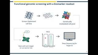 CRISPR Screening  The What Why and How [upl. by Toomay328]