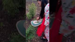 poojasmarathichannel villagevlog villagefood villager supportmychannel subscribe [upl. by Langley]