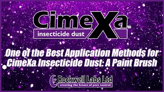 One of the Best Application Methods for CimeXa Insecticide Dust A Paint Brush [upl. by Ulah340]