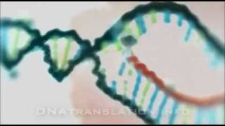 Protein synthesis DNA transcription translation and folding [upl. by Terb]