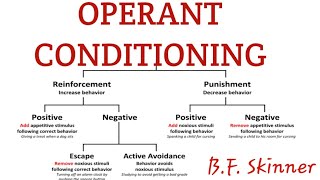 Operant conditioning in learning psychology [upl. by Godewyn916]