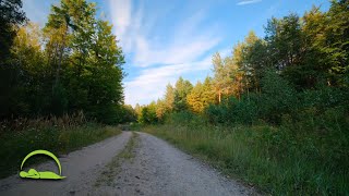 Głośny świerszcz na leśnej drodze dla relaksu i snu głośny świerszcz latem [upl. by Broderic369]