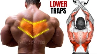 TOP 4 LOWER TRAPS WORKOUT AT GYM  LES MEILLEURS EXERCISES MUSCULATION TRAPÈZES [upl. by Rubina68]