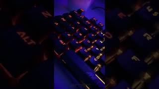 Best Gaming Keyboard for your gaming setup  RGB Keyboard  Ant Esports MK3200 [upl. by Ianaj835]